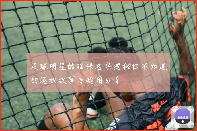 足球明星的猫咪名字揭秘你不知道的宠物故事与趣闻分享