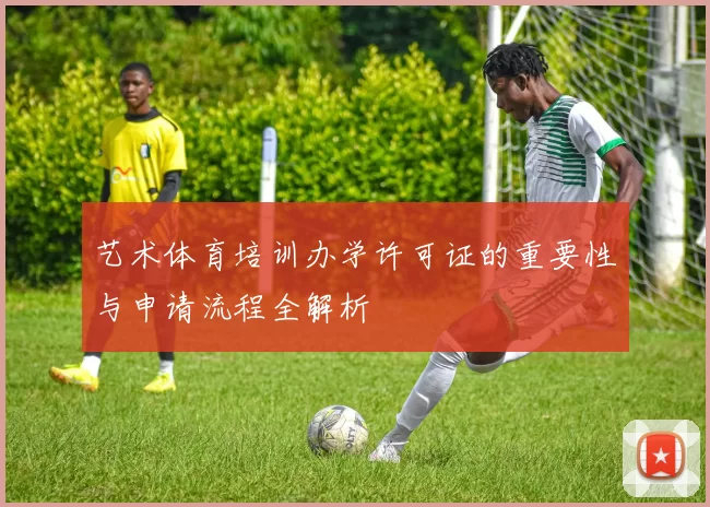 艺术体育培训办学许可证的重要性与申请流程全解析